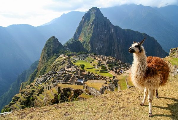 Inca Jungle, Cusco. Peru Top Destinations. 